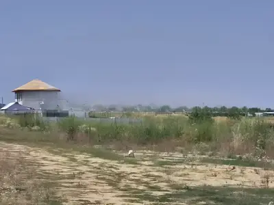 Teren de vanzare Balotesti Ilfov intravilan cu verdeata