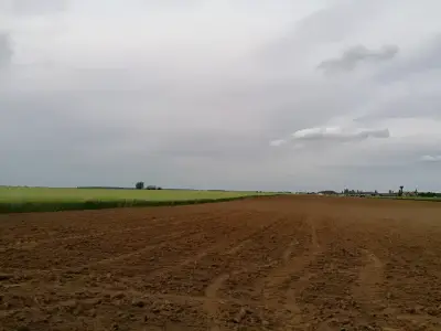 Teren extravilan arabil de vanzare in Balotesti Ilfov