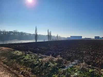 Teren extravilan arabil vanzare cumparare Balotesti Ilfov