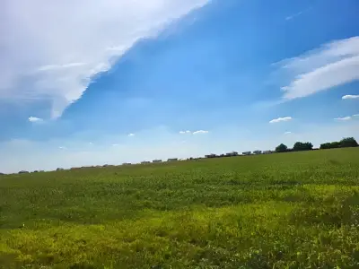 Teren intravilan vanzare Balotești Ilfov cu multa verdeata