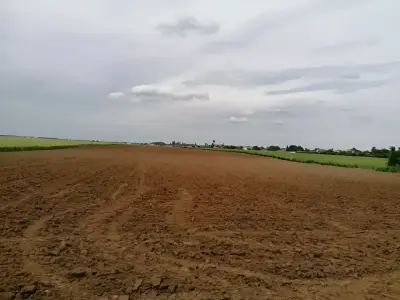 Teren extravilan arabil de vanzare in Balotesti Ilfov