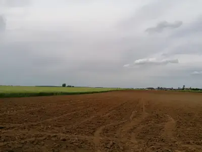 Vanzare cumparare teren arabil extravilan Balotesti Ilfov