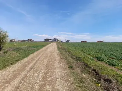 Teren intravilan de vânzare în Balotești, Ilfov - Lotizat, acces lac și utilități img 2