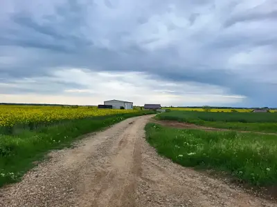 Teren de vanzare Balotești