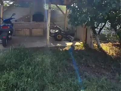 Teren de vanzare Bragadiru Ilfov cu garaj si copac