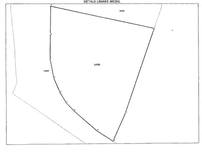 Teren vanzare-cumparare Budești Vrancea vedere satelit plan