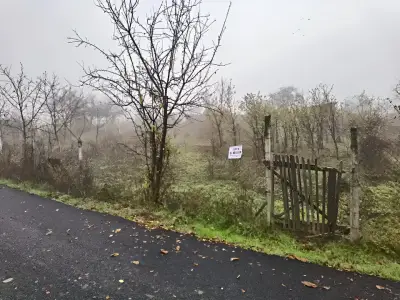 Teren de vanzare Budești