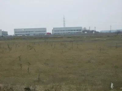 teren intravilan vanzare cumparare Buftea Ilfov cu vegetatie