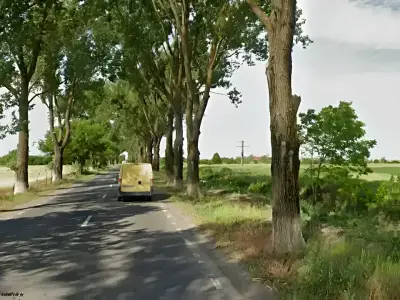 Drum de acces teren de vanzare Buftea Ilfov cu arbori