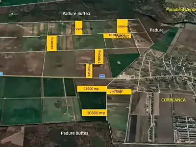 Harta satelit teren de vanzare Buftea Ilfov padure