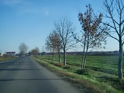 Sosea asfaltata spre teren de vanzare cumparare Buftea Ilfov