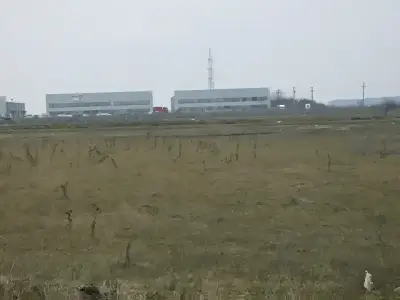 Teren de vanzare-cumparare plat in Buftea Ilfov