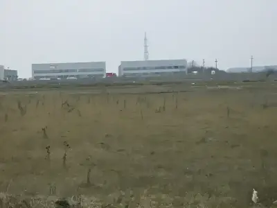 Teren viran plat de vanzare in Buftea Ilfov