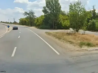 Teren vanzare cumparare Buftea Ilfov cu drum asfaltat padure