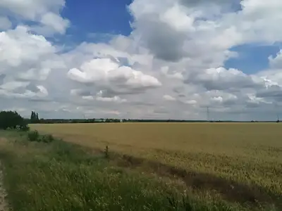Teren extravilan arabil de vanzare-cumparare Buftea Ilfov