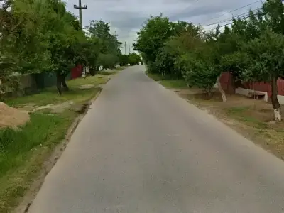 Teren de vanzare Butimanu Dambovita vedere strada copaci