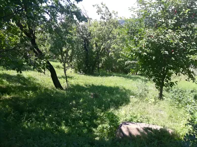 teren intravilan cu iarba vanzare cumparare Chiciureni Prahova