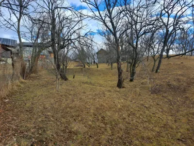 teren verde cu pomi si cladire vanzare cumparare Chiciureni Prahova