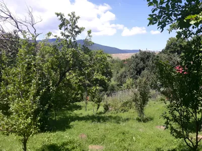 teren natural cu vegetatie vanzare cumparare Chiciureni Prahova