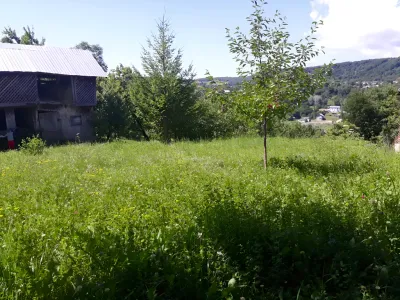 Teren de vanzare Chiciureni