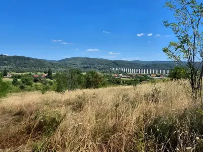 oferta vanzare cumparare teren cu pomi Ciofrângeni Argeș
