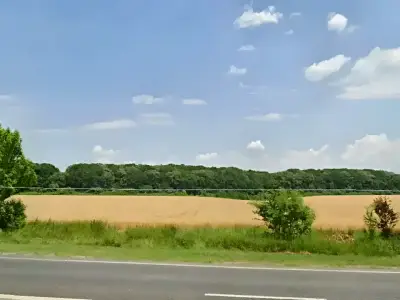 Teren de vanzare Ciolpani