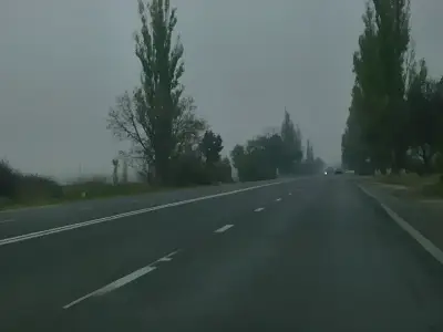 Teren vanzare cumparare Ciolpani Ilfov drum cu copaci