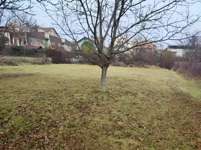 Teren intravilan vanzare cumparare Cluj-Napoca Cluj cu copac