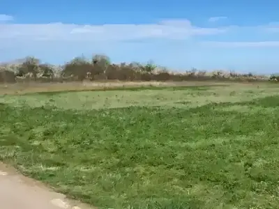 Teren intravilan de vanzare in Comana Giurgiu cu verdeata
