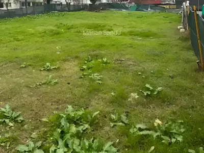 Vanzare cumparare teren intravilan Constanța Constanța verde