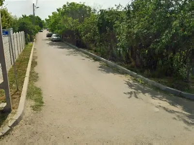 vanzare cumparare teren Corbeanca Ilfov drum cu copaci si garduri