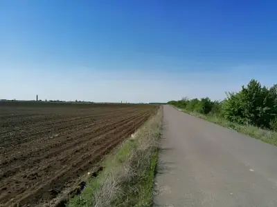 Teren de vanzare-cumparare acces camp arat Corbeanca Ilfov
