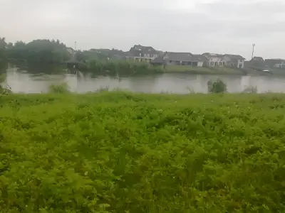 Teren intravilan de vanzare cumparare langa lac Corbeanca Ilfov