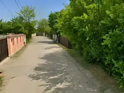 Teren de vanzare Corbeanca Ilfov drum cu pomi verzi