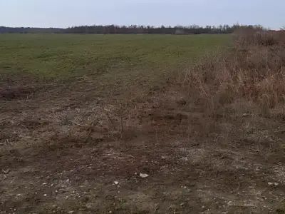 teren vanzare cumparare Corbeanca Ilfov camp iarba uscata