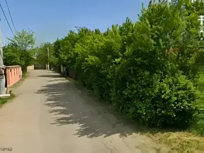 Teren de vanzare Corbeanca Ilfov strada cu vegetatie
