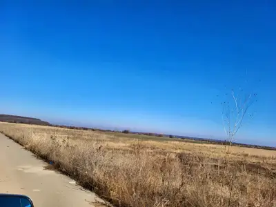 Teren viran plat de vanzare cumparare in Corbeanca Ilfov