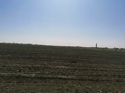 Teren arabil extravilan vanzare cumparare Corbeanca Ilfov