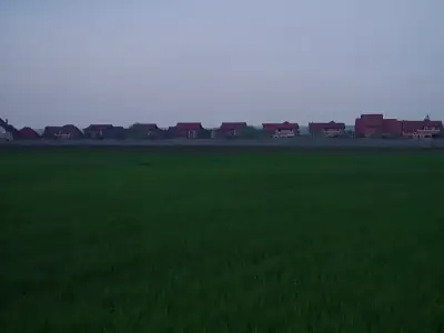 Vanzare teren intravilan Corbeanca Ilfov camp verde case