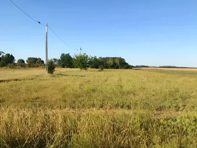Teren de vanzare Crivăț
