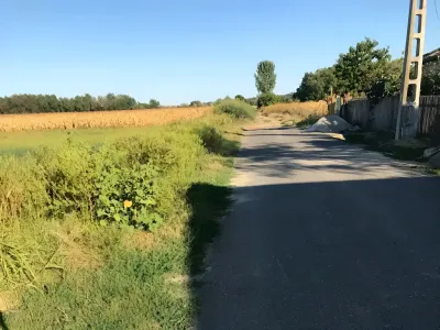drum de acces vanzare cumparare teren camp Crivăț Călărași