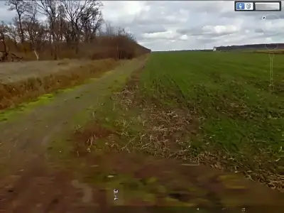 Teren vanzare cumparare Dascălu Ilfov drum acces camp verde