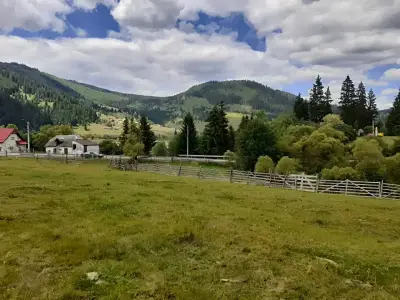 Teren cu casa si gard de vanzare-cumparare Dorna-Arini Suceava