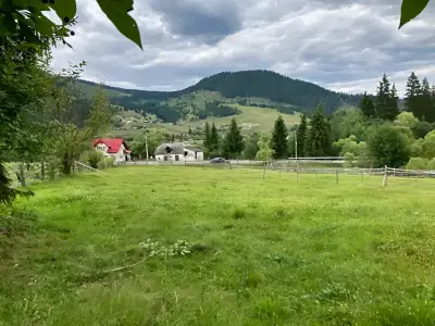 Teren de vanzare-cumparare cu casa in fundal Dorna-Arini Suceava