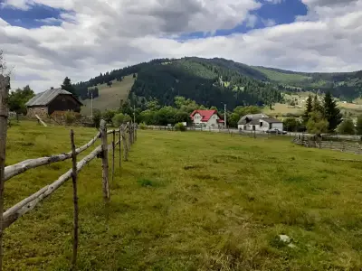 Teren cu gard de lemn de vanzare-cumparare Dorna-Arini Suceava