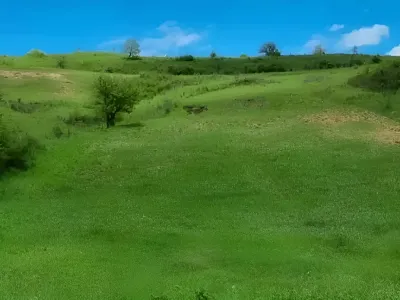 teren vanzare cumparare langa padure si copaci Gârbău Cluj