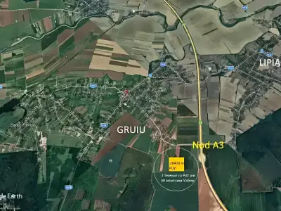 harta satelit teren de vanzare-cumparare in Gruiu Ilfov