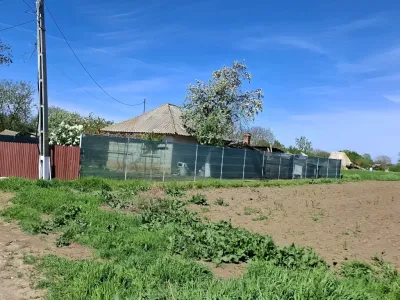Teren de vanzare-cumparare in Gruiu Ilfov langa drum