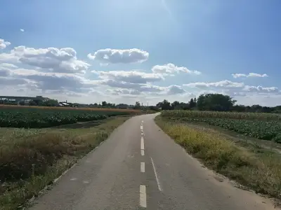 Teren de vanzare Gruiu