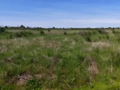 Teren intravilan de vanzare in Mătăsaru Dâmbovița cu iarba verde